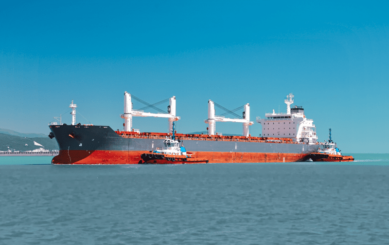 dry bulk cargo tunisia